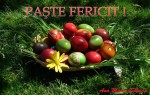 Paste fericit !