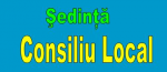 Sedinţă C.L. Dumbrăviţa 13.02.2024